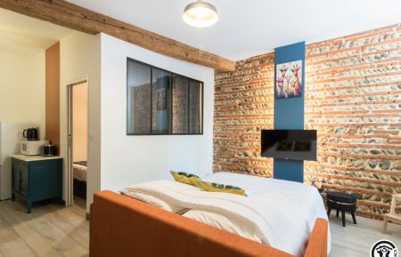 City Break n&deg;31G101845 Toulouse - Haute-Garonne - Appartement.City.Break.L?&Eacute;crin.du.Bazacle.Toulouse