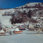 Photo_01