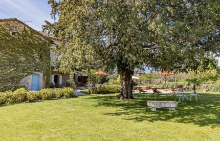 Un jardin privatif entièrement clôturé Gîte n°31G101373 Cassagne - Haute-Garonne - Un jardin privatif entièrement clôturé