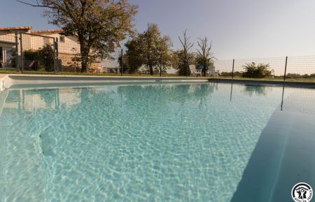 Piscine.Le.Petit.Limouzin.Merville.Aéroport.Toulouse Gîte n°31G101489 Merville - Haute-Garonne - Piscine.Le.Petit.Limouzin.Merville.Aéroport.Toulouse